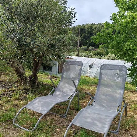 Yachting 83 סנרי-סור-מר